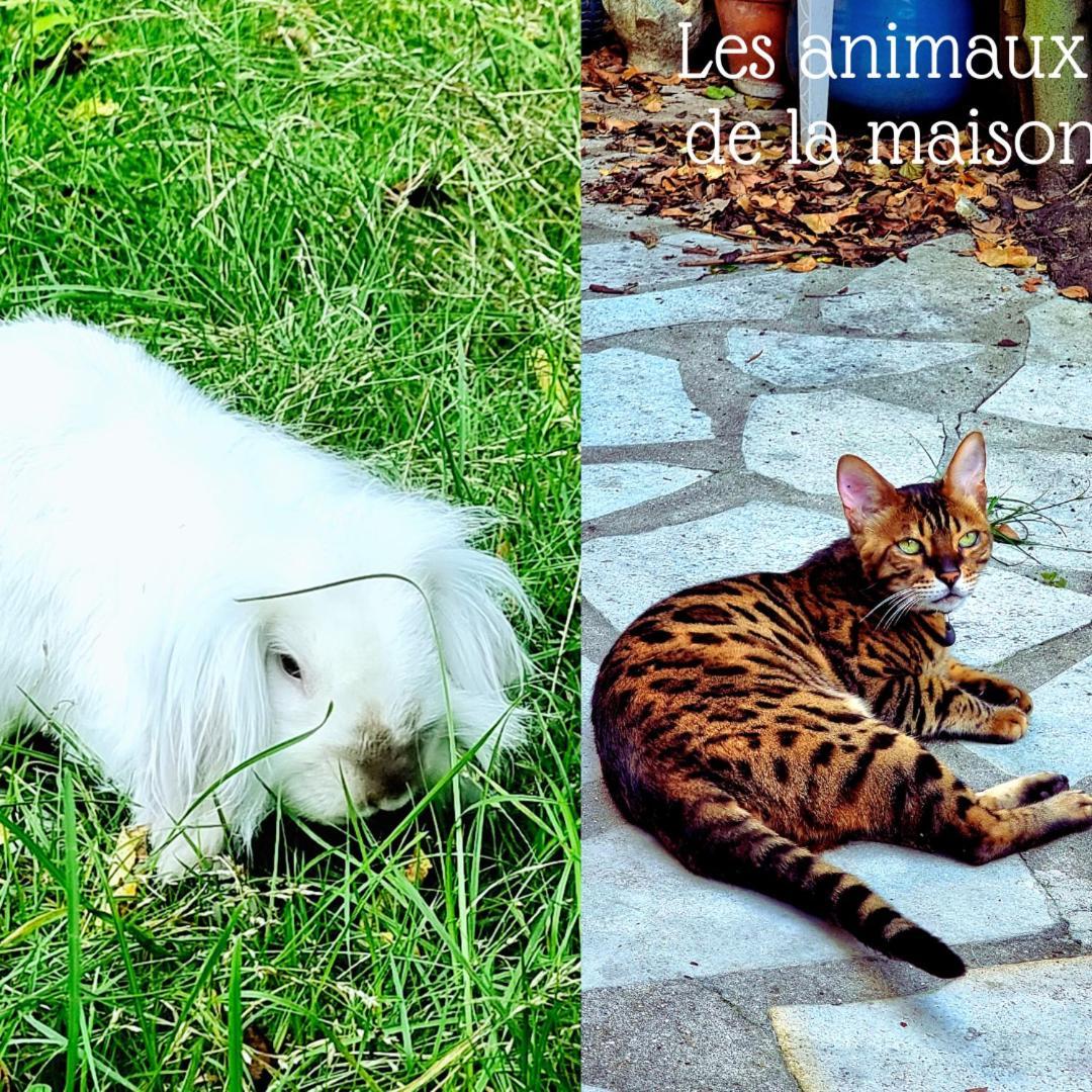 La Campagne A Paris Saint-Cloud Exterior foto
